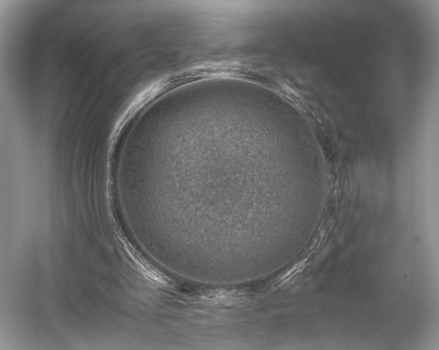 X0000059090293200510101152