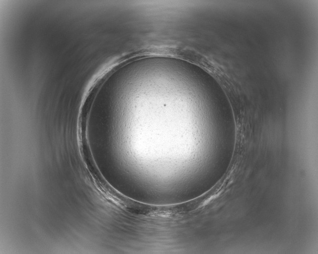 X0000059090294200510101152