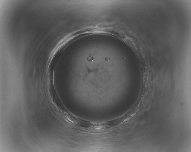 X0000059090295200510101152