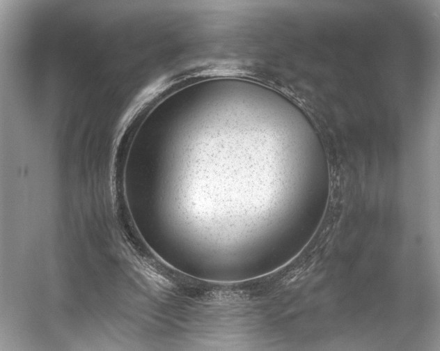 X0000059090296200510101152