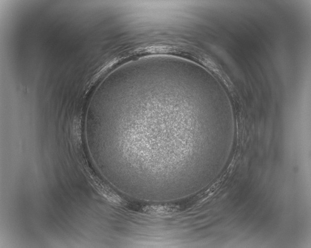 X0000059090297200510101152