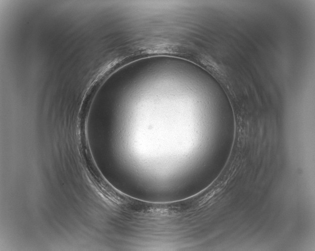 X0000059090298200510101152