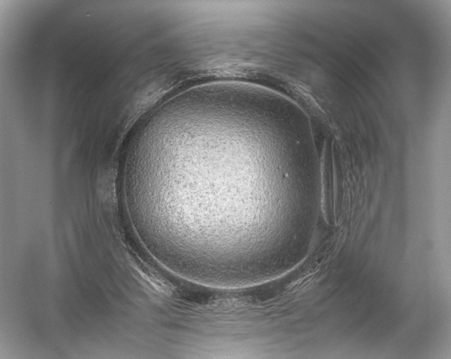 X0000059090299200510101152