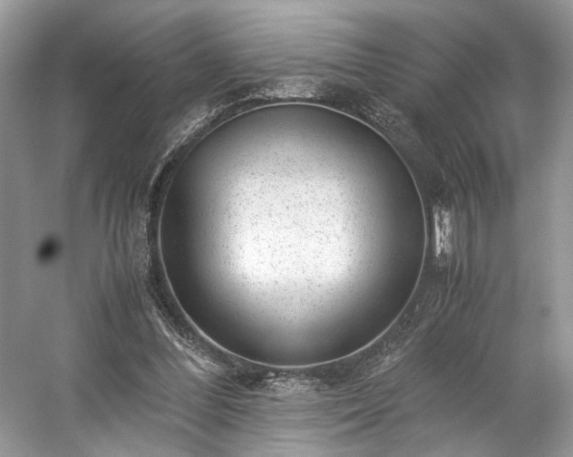 X0000059090300200510101152