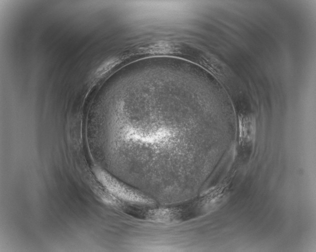 X0000059090301200510101152