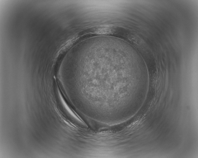 X0000059090303200510101151