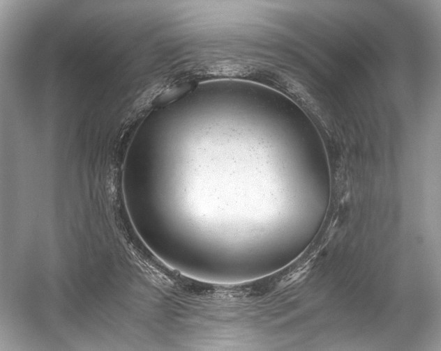 X0000059090305200510101151