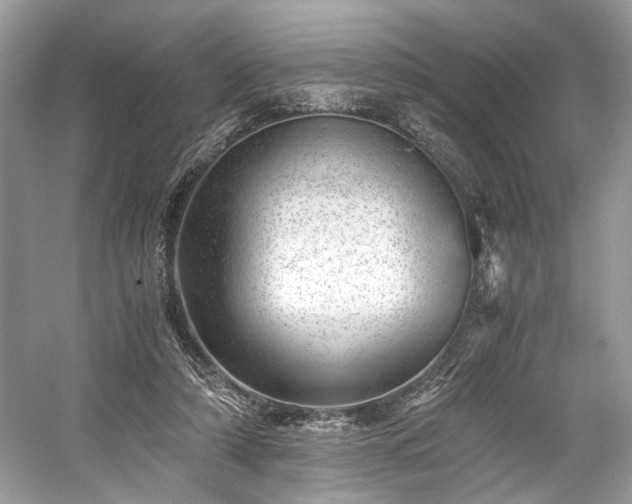 X0000059090306200510101151