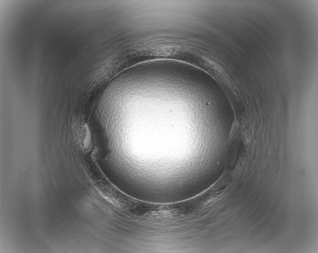 X0000059090307200510101151