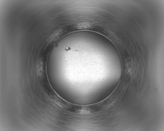 X0000059090308200510101151