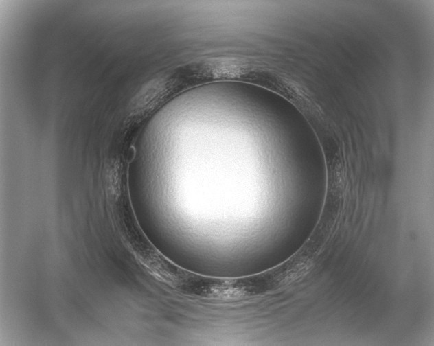 X0000059090311200510101151