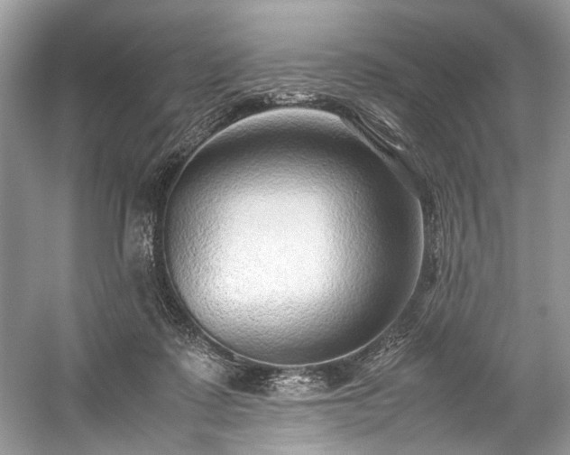 X0000059090315200510101151