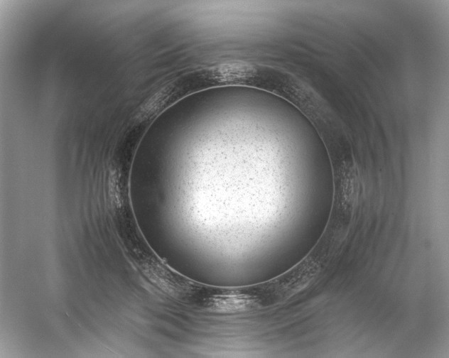 X0000059090316200510101151