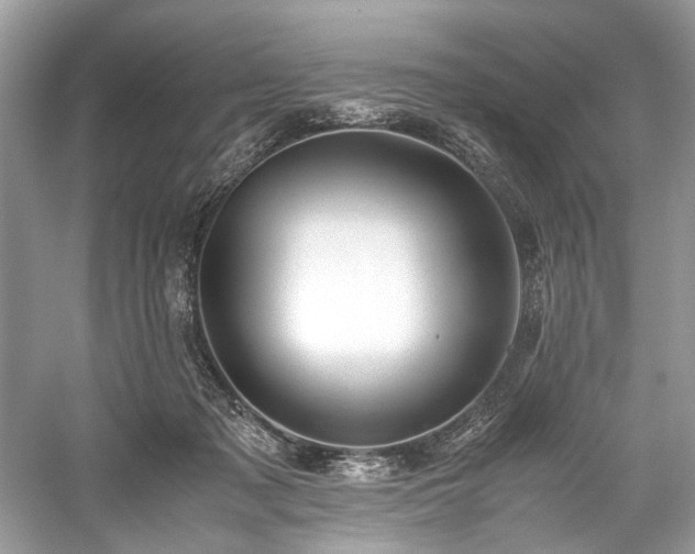 X0000059090317200510101151