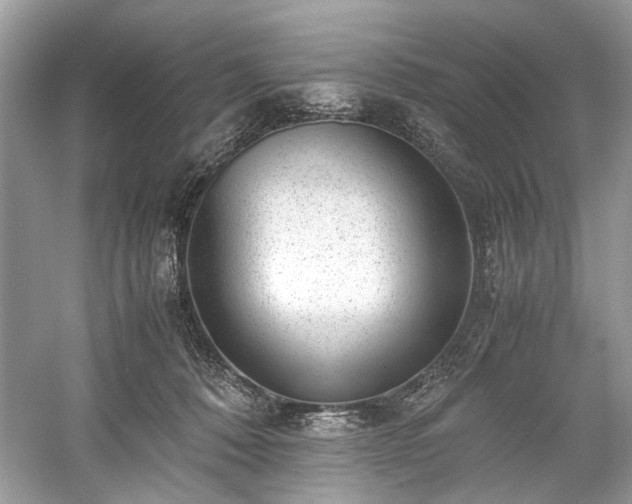 X0000059090320200510101151