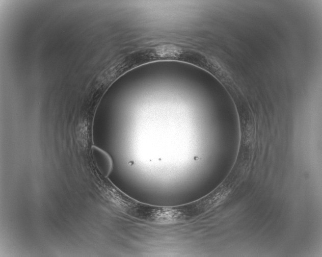 X0000059090321200510101151