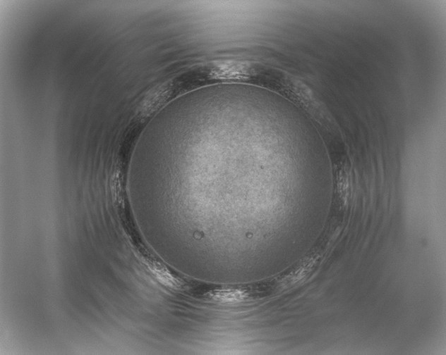 X0000059090322200510101151