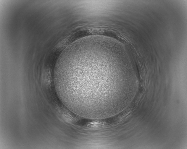 X0000059090323200510101151