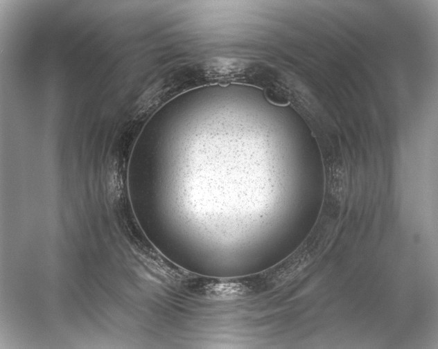 X0000059090324200510101151