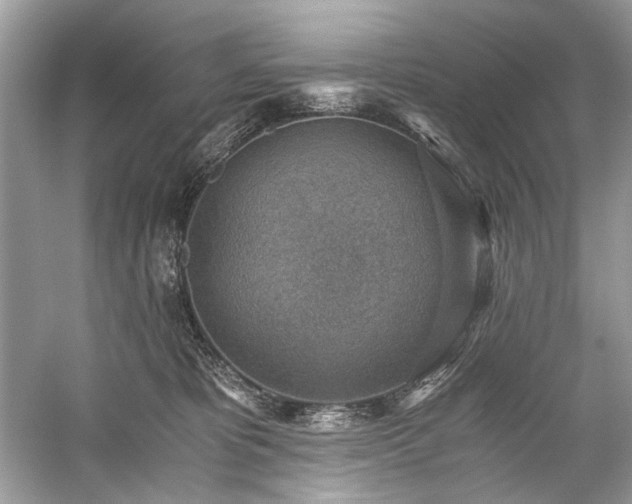 X0000059090325200510101151