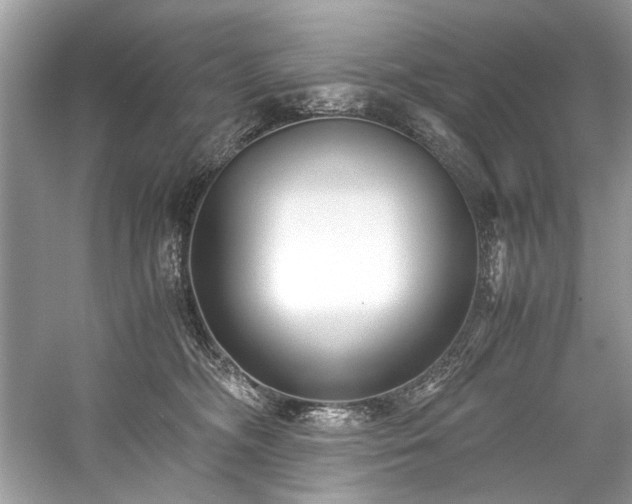 X0000059090326200510101151