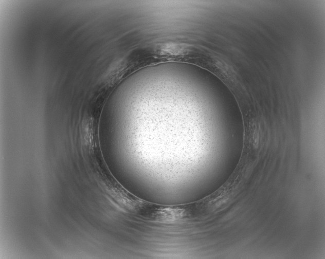 X0000059090328200510101151