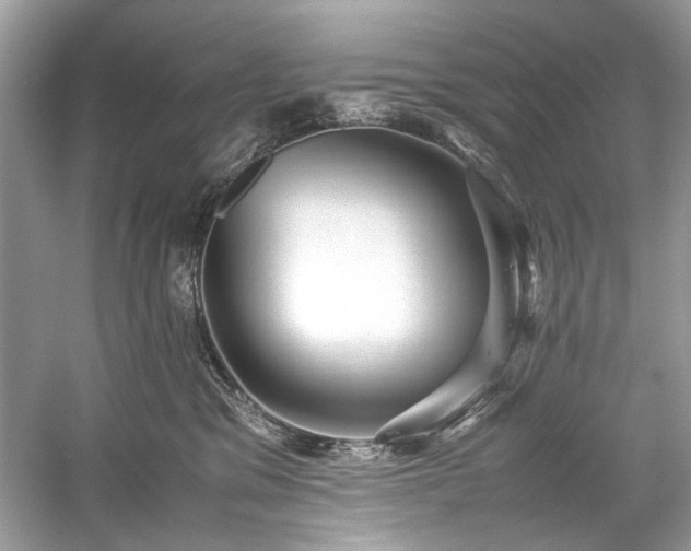 X0000059090329200510101151