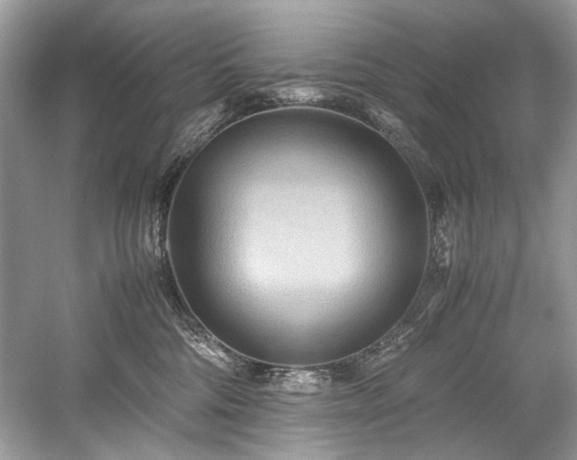 X0000059090330200510101151