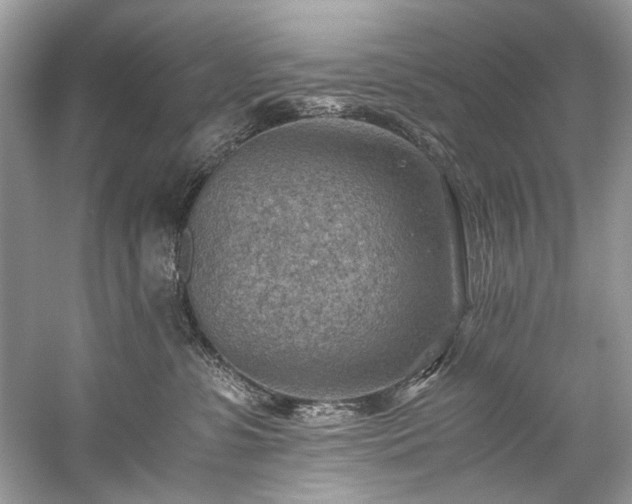 X0000059090331200510101151