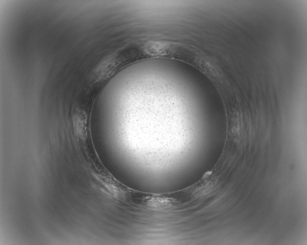 X0000059090332200510101151