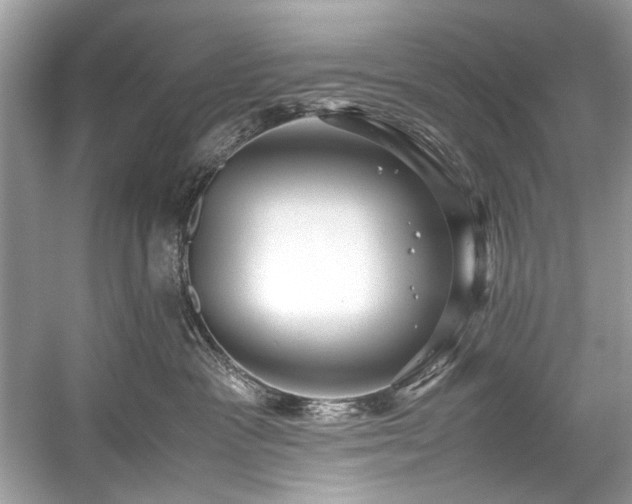 X0000059090333200510101151