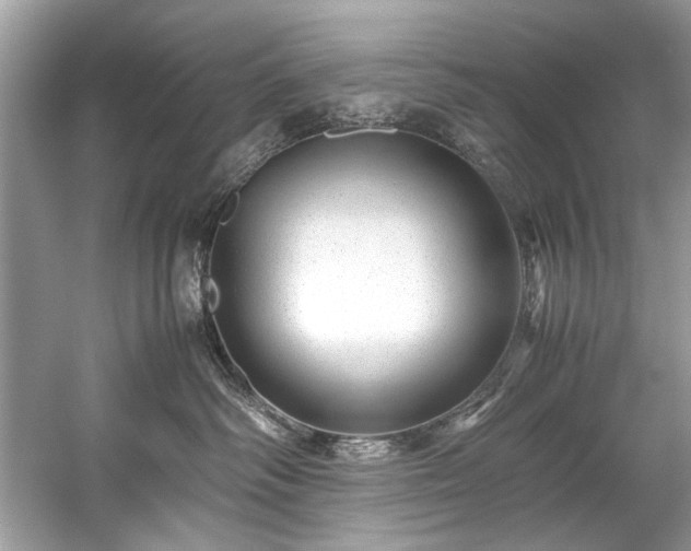 X0000059090334200510101151