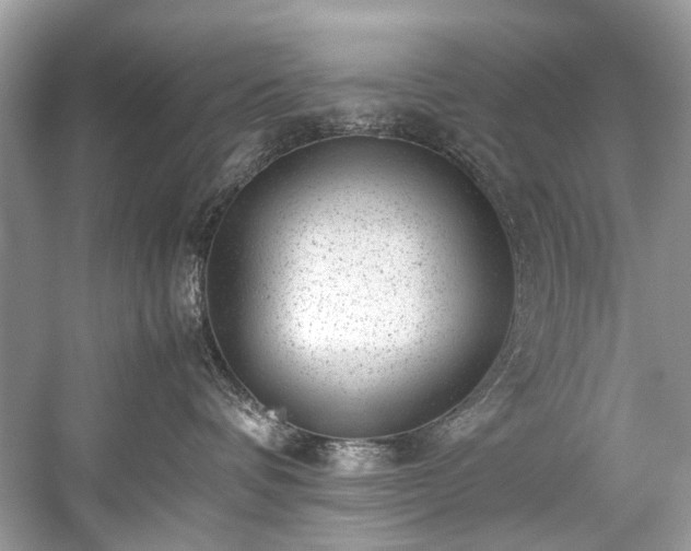 X0000059090336200510101151