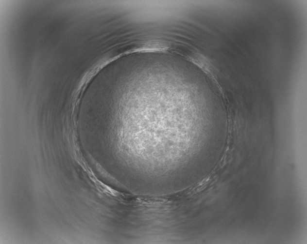 X0000059090337200510101150