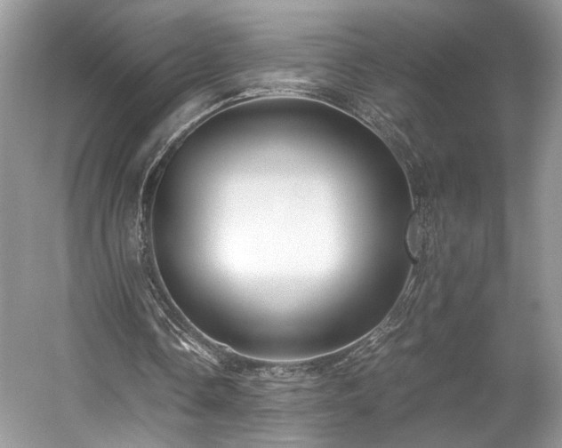 X0000059090338200510101150