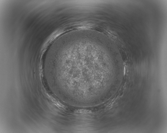 X0000059090339200510101150