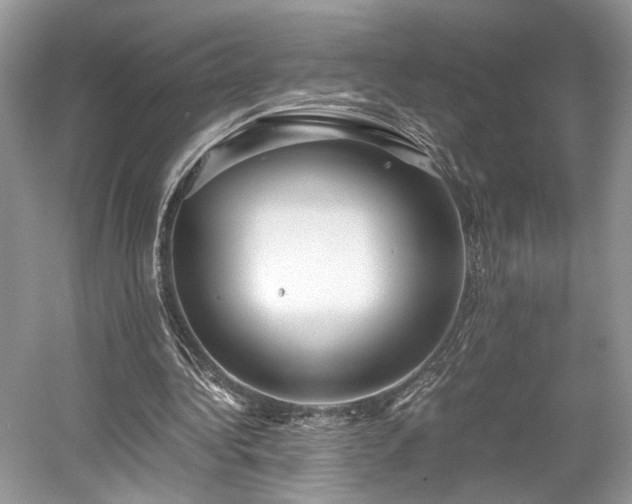 X0000059090340200510101150