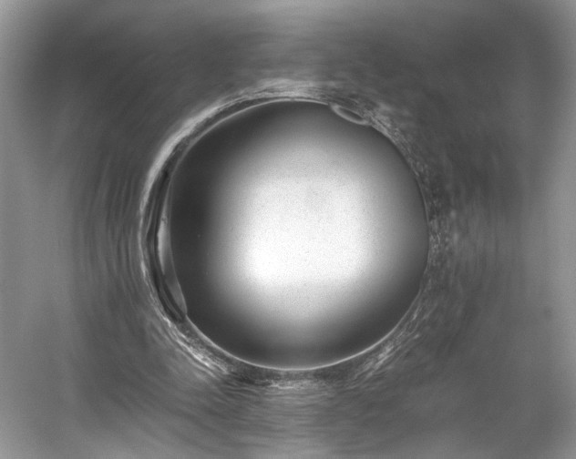 X0000059090342200510101150