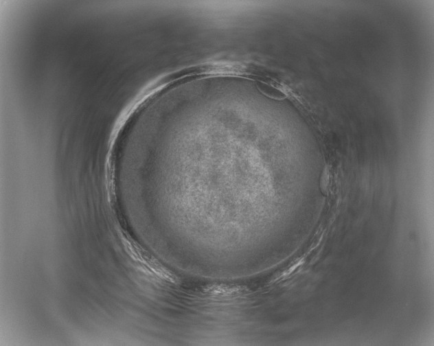 X0000059090343200510101150