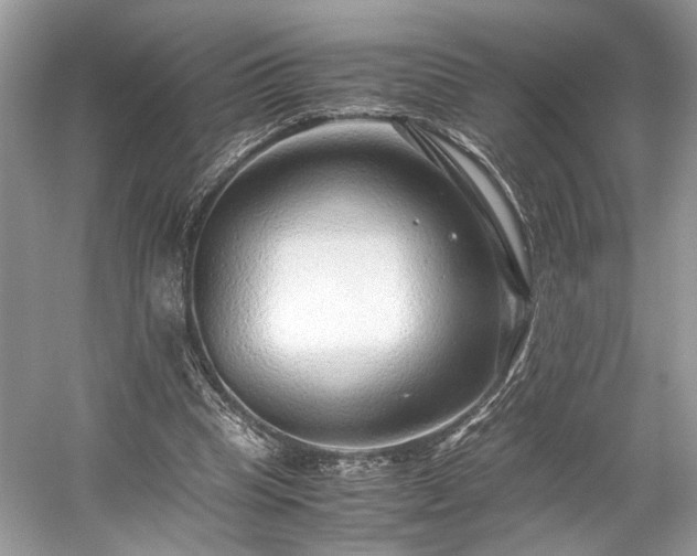 X0000059090345200510101150