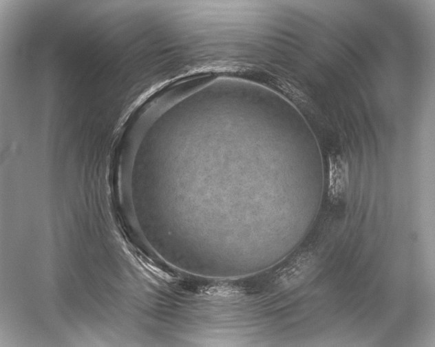 X0000059090348200510101150