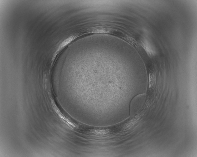 X0000059090349200510101150