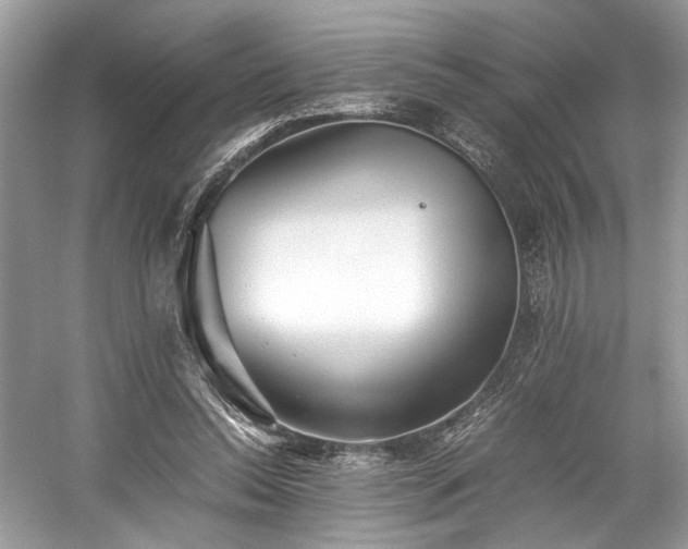 X0000059090350200510101150