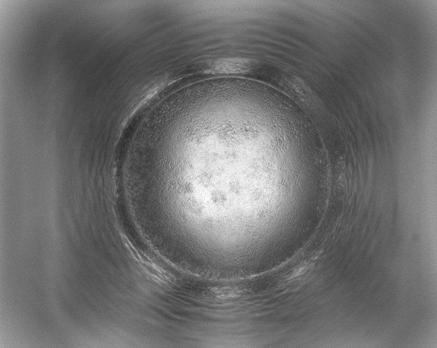 X0000059090351200510101150