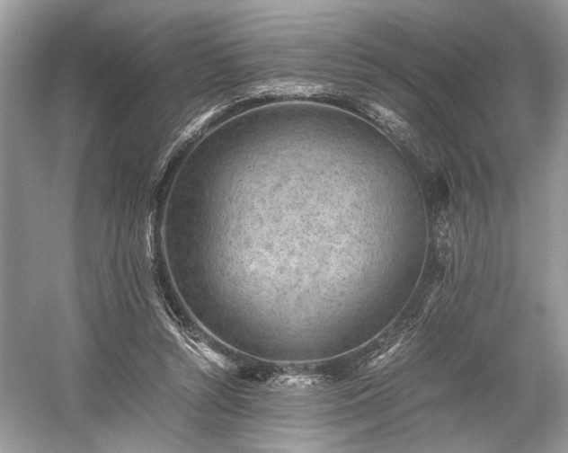 X0000059090352200510101150