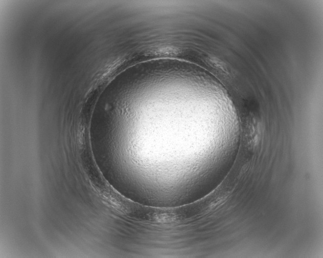 X0000059090355200510101150