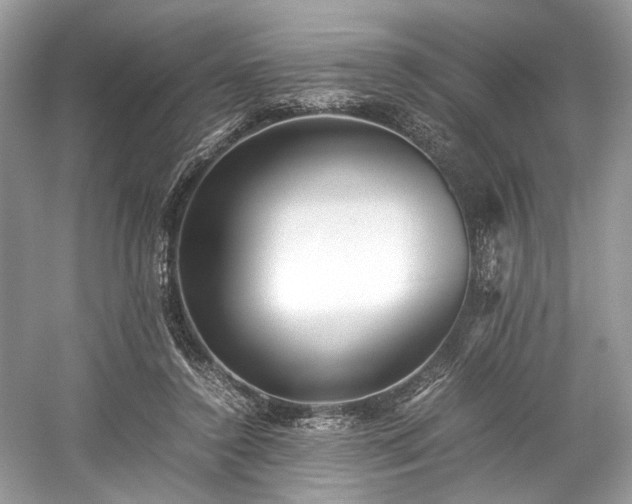 X0000059090356200510101150