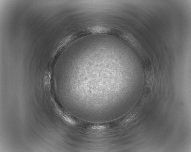 X0000059090357200510101150