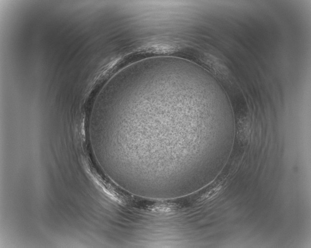 X0000059090358200510101150