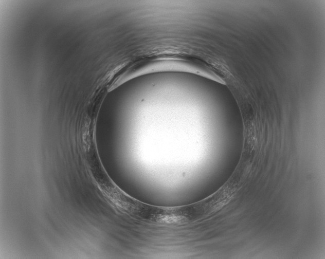 X0000059090360200510101151